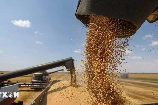 Saudi Arabia rót 1,7 tỷ USD để tăng cường an ninh lương thực