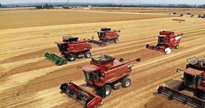 Sản lượng ngũ cốc năm 2026 của Trung Quốc dự kiến tăng nhẹ