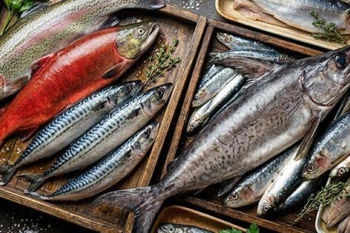 6 loại cá giàu vitamin D giúp xương chắc khỏe và tăng cường hệ miễn dịch