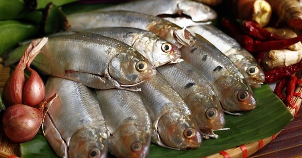 Mẹo kho cá mòi ngon chuẩn vị, bổ sung canxi và omega-3 tự nhiên