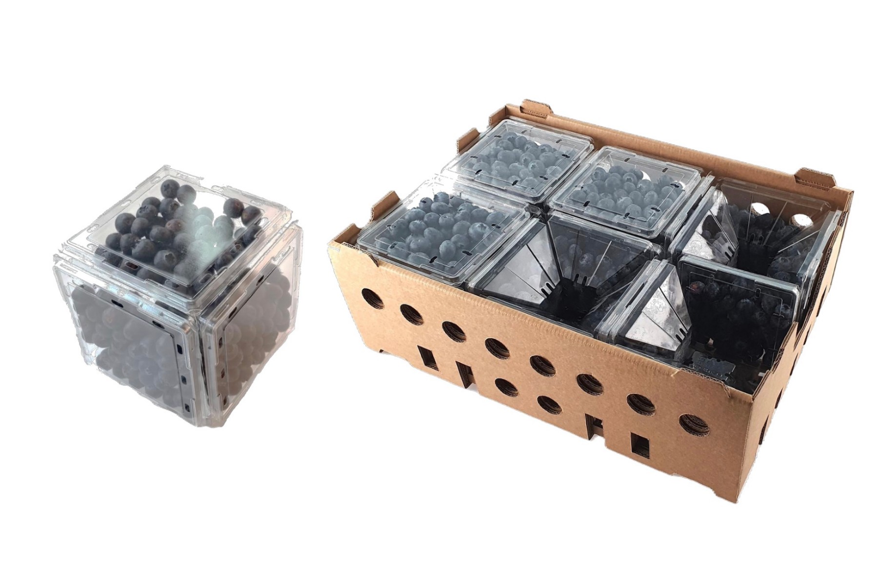 Bao bì dạng khối giúp ngành rau quả Ấn Độ tối ưu vận chuyển và giảm chi phí logistics