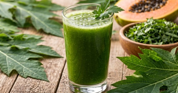 Nước lá đu đủ và những nguy cơ tiềm ẩn đối với sức khỏe