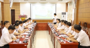 Tuyên Quang sử dụng hiệu quả nguồn quỹ trong công tác bảo vệ và phát triển rừng