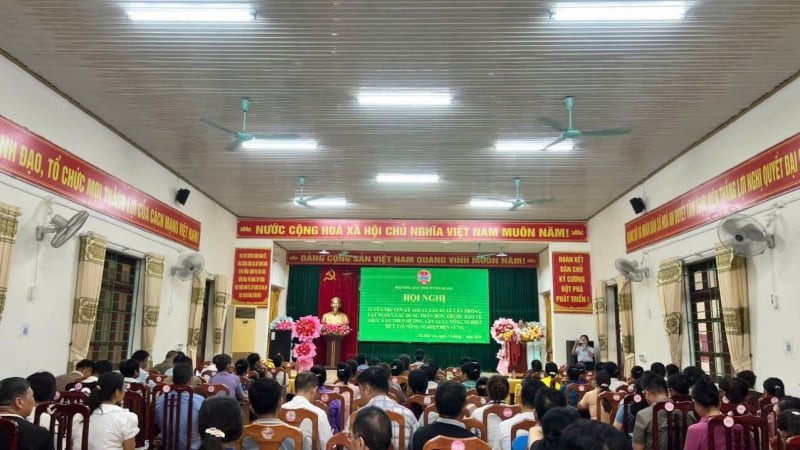 Tuyên Quang: Hàng nghìn nông dân được tập huấn về kỹ thuật sản xuất nông nghiệp hữu cơ