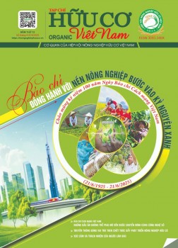 NNHC số tháng 4 + 5 + 6 năm 2025