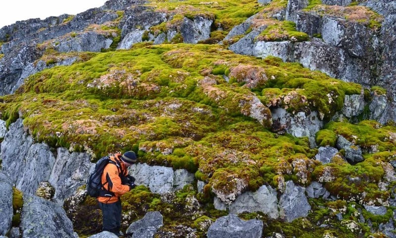 Nông nghiệp hữu cơ nổi bật trong tuần từ ngày 7/10 - 13/10