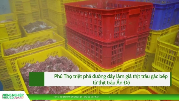 Triệt phá đường dây làm giả thịt trâu gác bếp từ thịt trâu Ấn Độ