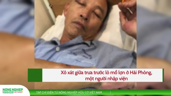 Cận cảnh vụ xô xát trước lò mổ lợn ở Hải Phòng, một người nhập viện