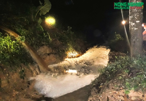 Người dân trắng đêm bắt quả tang trại lợn xả thải trong đêm