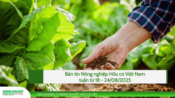 Bản tin Nông nghiệp hữu cơ, tuần từ 18 - 24/08/2025