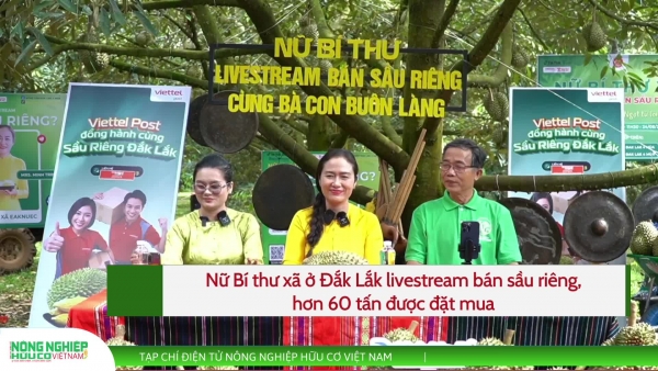 Nữ Bí thư xã ở Đắk Lắk livestream bán sầu riêng, hơn 60 tấn được đặt mua