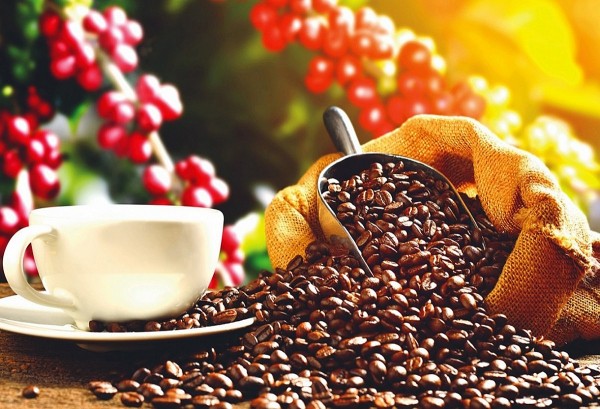 Thị trường nông sản 29/8/2025: Giá tiêu, cà phê tăng mạnh