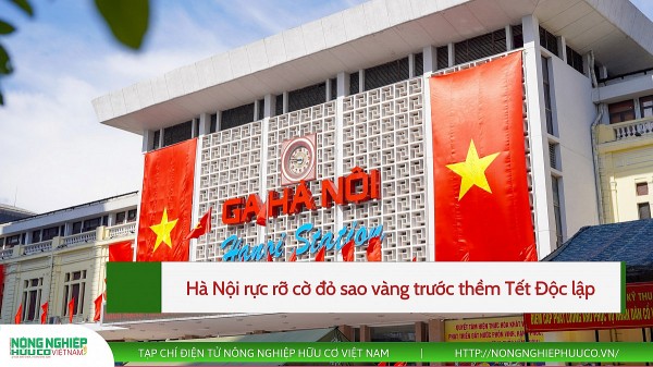 Hà Nội rực rỡ cờ đỏ sao vàng trước thềm Tết Độc lập