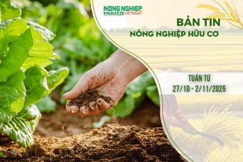 Bản tin Nông nghiệp Hữu cơ, tuần từ 27/10 - 02/11/2025