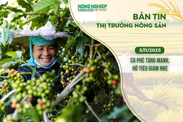 Thị trường nông sản 5/11/2025: Cà phê tăng mạnh, hồ tiêu giảm nhẹ