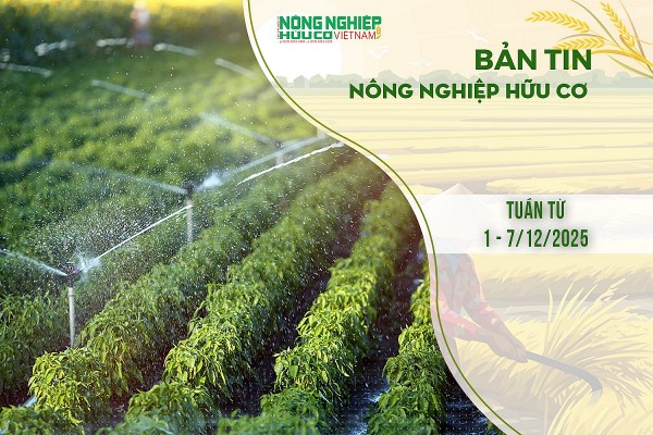 Bản tin Nông nghiệp Hữu cơ, tuần từ 01 - 07/12/2025
