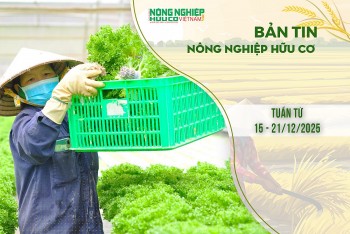 Bản tin Nông nghiệp Hữu cơ, tuần từ 15 - 21/12/2025