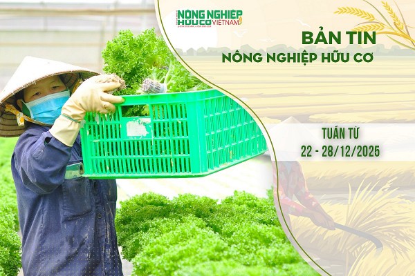 Bản tin Nông nghiệp Hữu cơ, tuần từ 22 - 28/12/2025