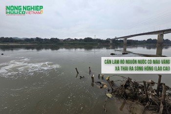 Cần làm rõ nguồn nước có màu vàng xả thải ra sông Hồng (Lào Cai)