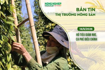 Thị trường nông sản 18/6/2026: Hồ tiêu giảm nhẹ, cà phê điều chỉnh