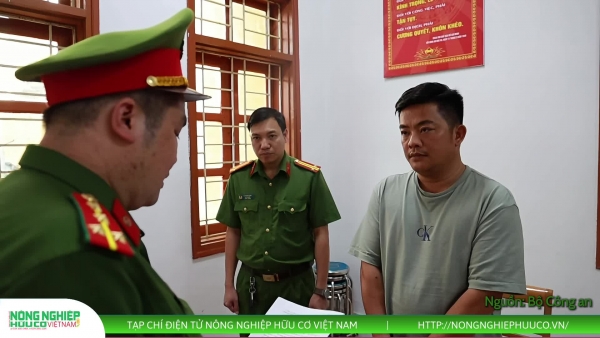 Khởi tố Hải Sapa TV vụ thịt trâu giả được quảng cáo là "đặc sản Tây Bắc"